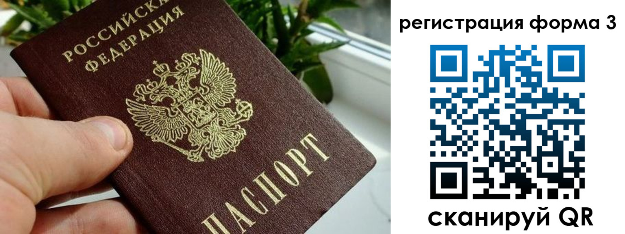 прописка штамп в Иваново